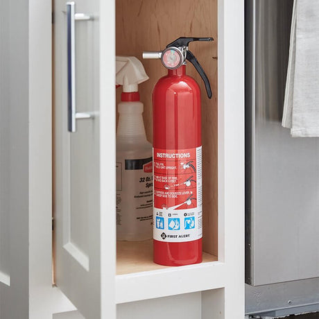 P.A.S.S. the Fire Extinguisher