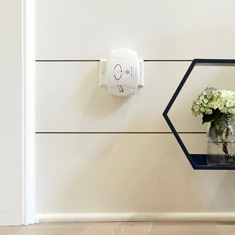 Why is My Carbon Monoxide Detector Beeping?