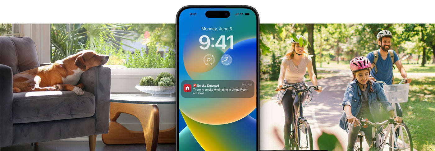 dog on couch, phone and family biking